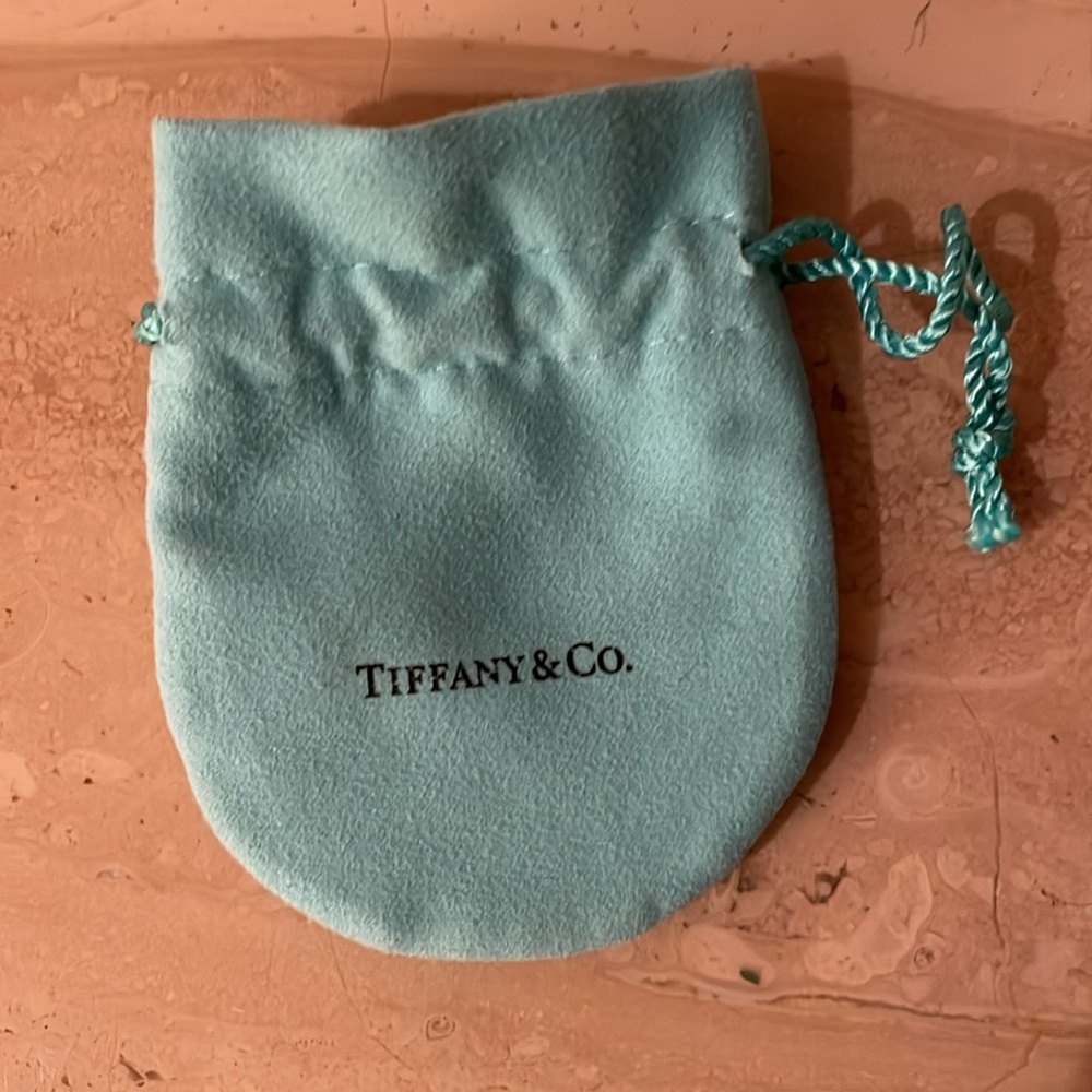 Tiffany & Co Suede Jewelry pouch